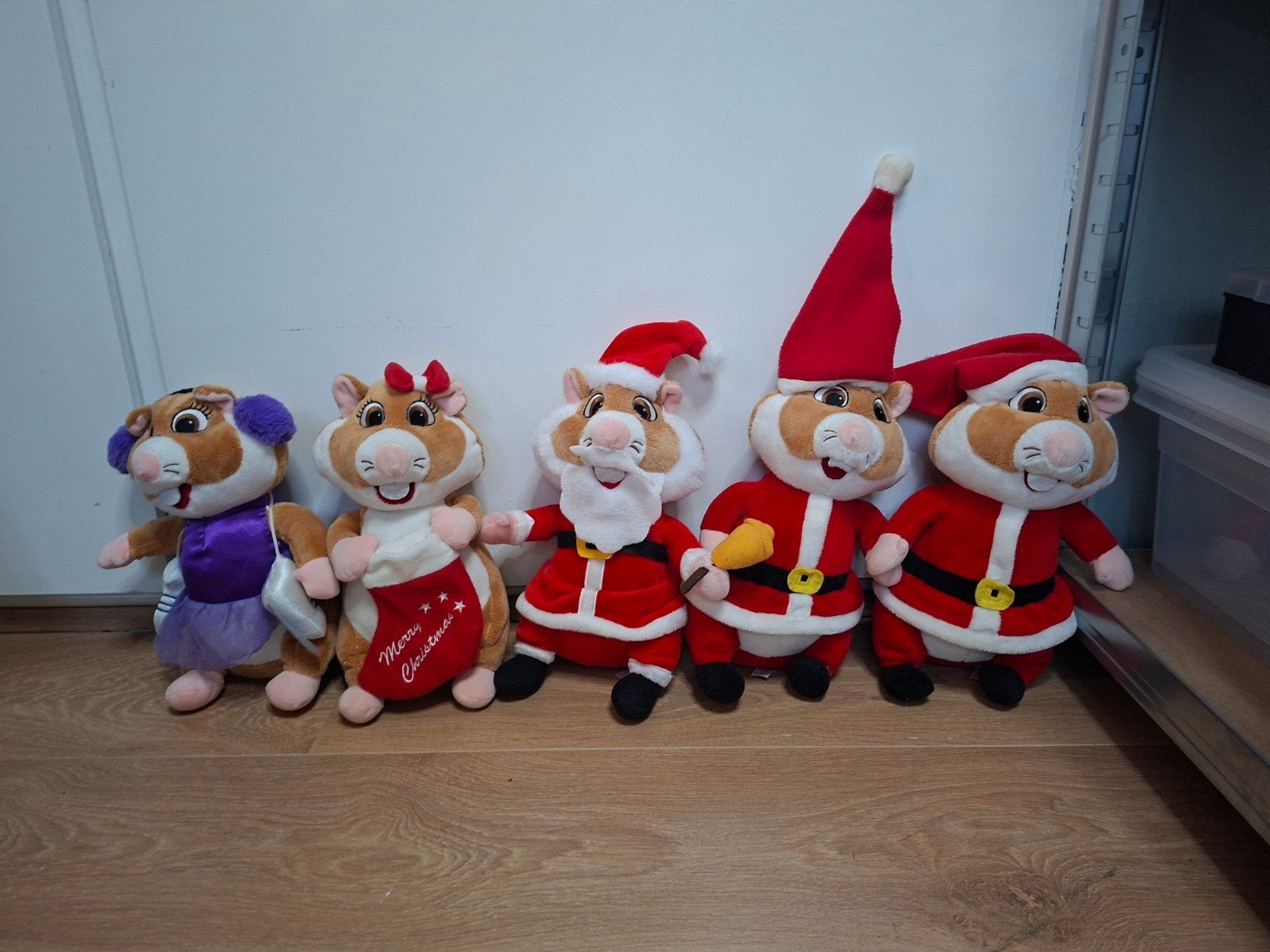 AH hamsters Kersthamsters, Diversen, Ophalen