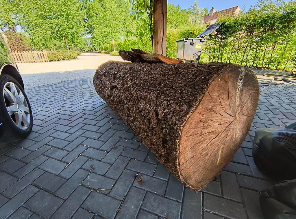 Boomstam 70cm en 50cm diameter., Ophalen