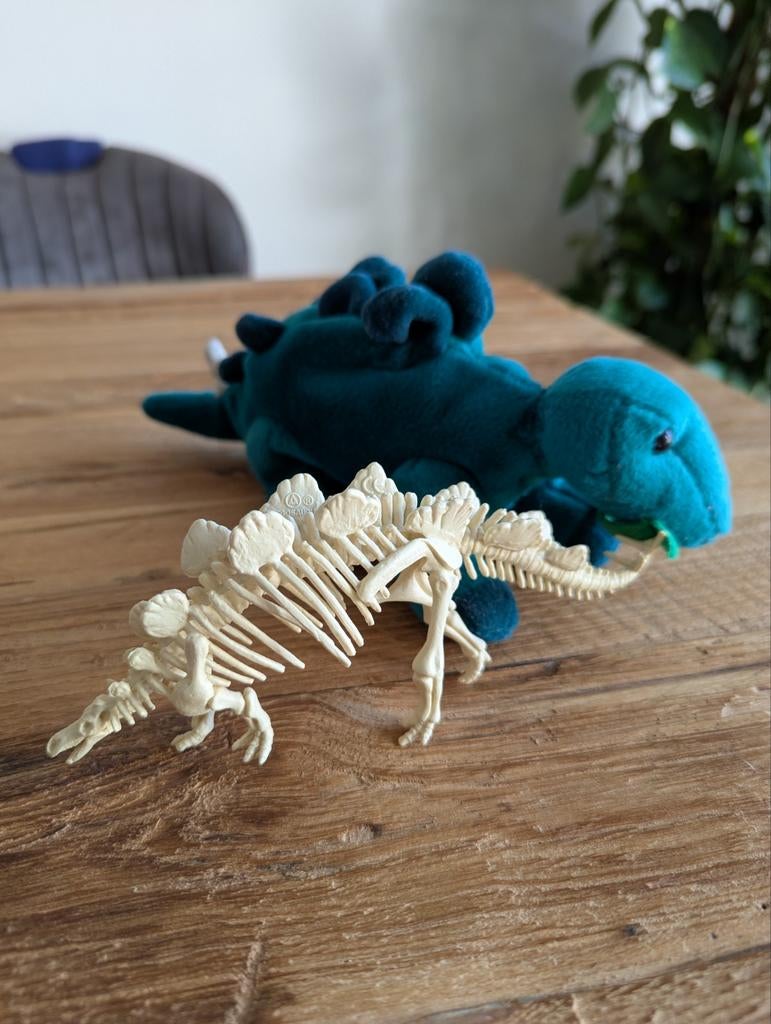 Dinosaurussen: knuffel en geraamte, Gebruikt, Overige merken, Ophalen of Verzenden, Middelgroot (20 tot 80 cm)
