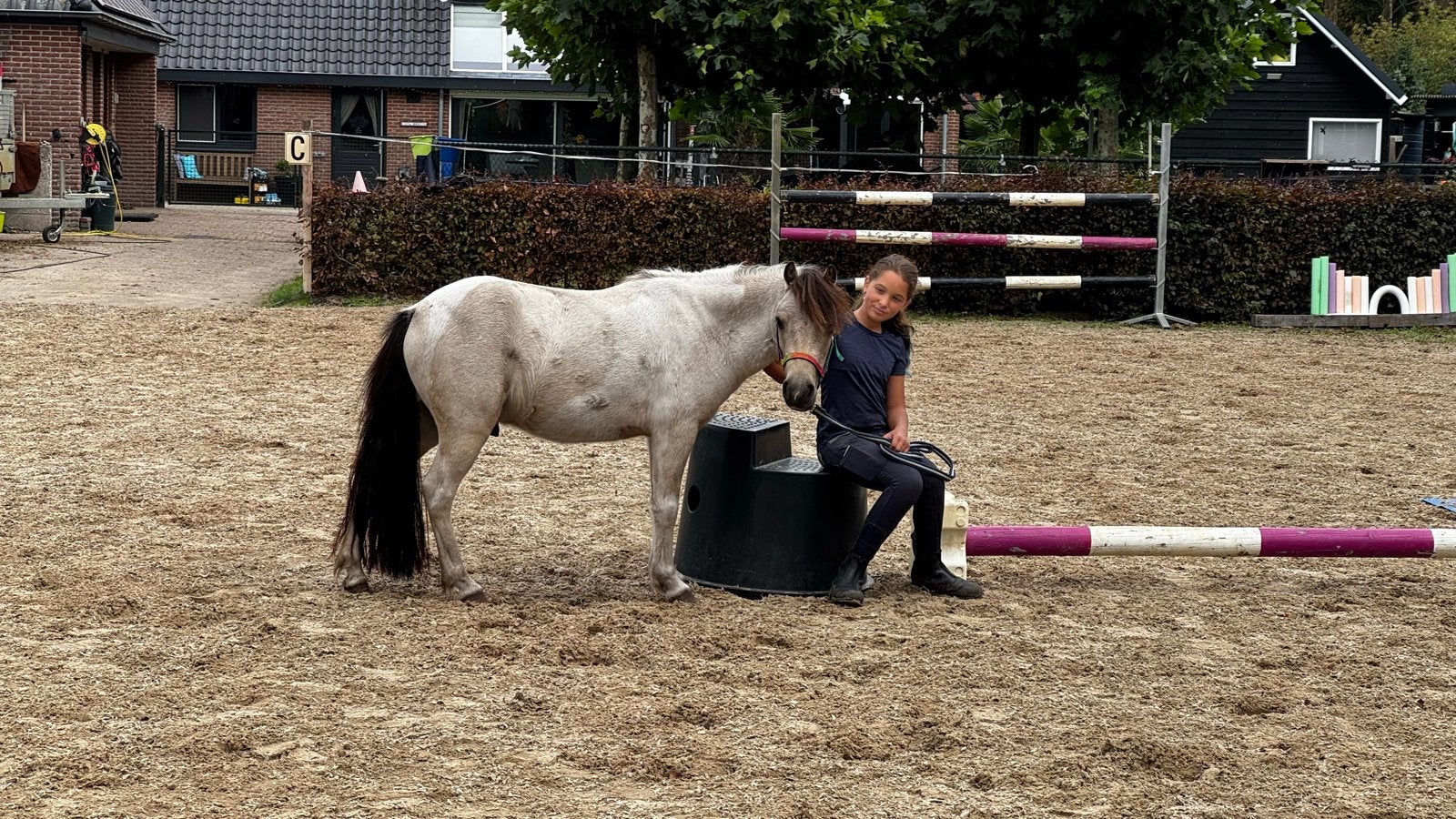 Super lieve A-pony Johny zoekt een leaser, Ophalen of Verzenden