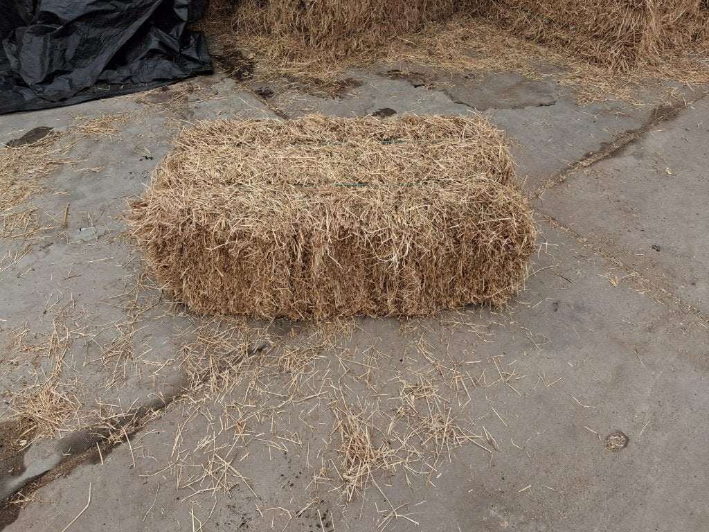 HOOI te koop, Dieren en Toebehoren, Ophalen, Vee