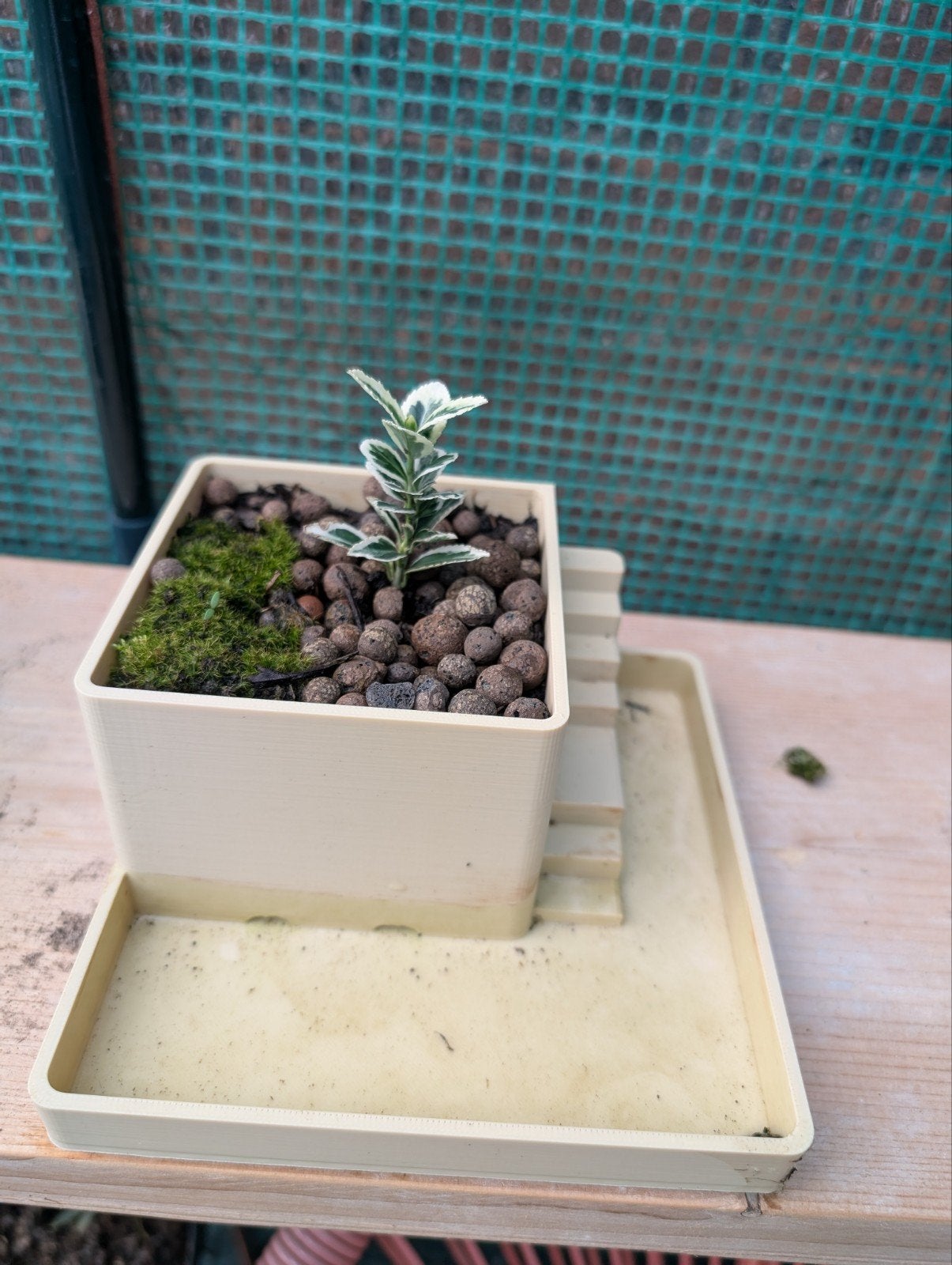 3D Geprinte Pot voor kleine planten, Tuin en Terras, Kunststof, Ophalen of Verzenden, Overige vormen, Binnen