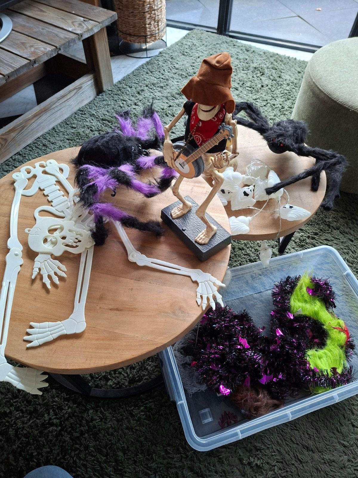 Grote partij Halloween versiering: spinnen, skelet, slinger, Ophalen of Verzenden, Gebruikt, Versiering, Halloween of Griezel
