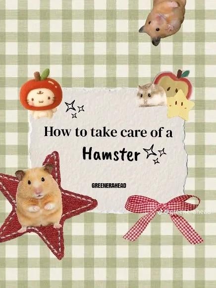 Hamster verzorging, Januari, Geslacht onbekend, Hamster