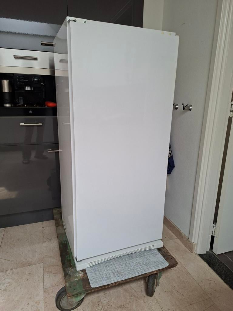 Inbouw koelkast ikea 122x54x54 cm, Huis en Inrichting, Ophalen, Gebruikt