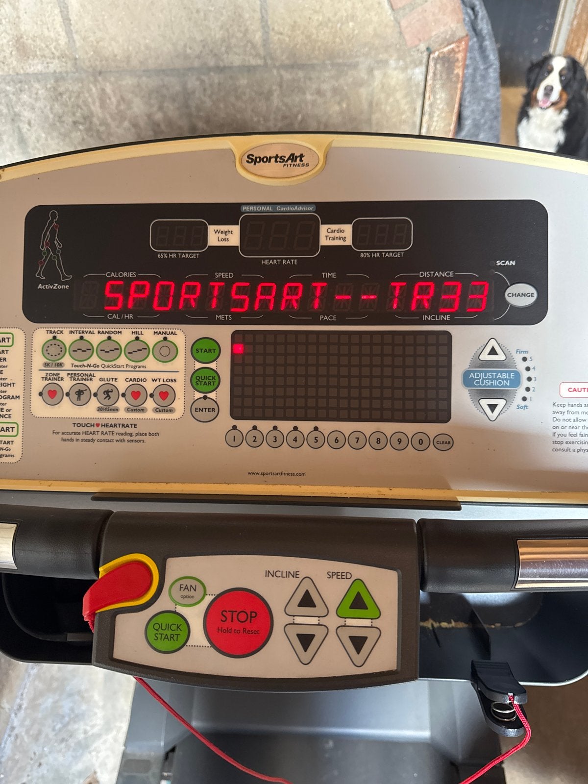 SportsArt Fitness TR33 Loopband - Gebruikt, Ophalen, Gebruikt, Metaal, Loopband