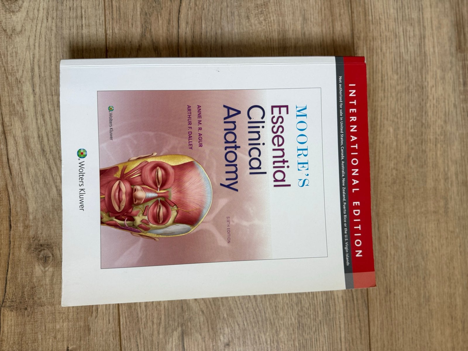 Moore's Essential Clinical Anatomy - International Edition, Boeken, Ophalen of Verzenden, Beta, Zo goed als nieuw, WO