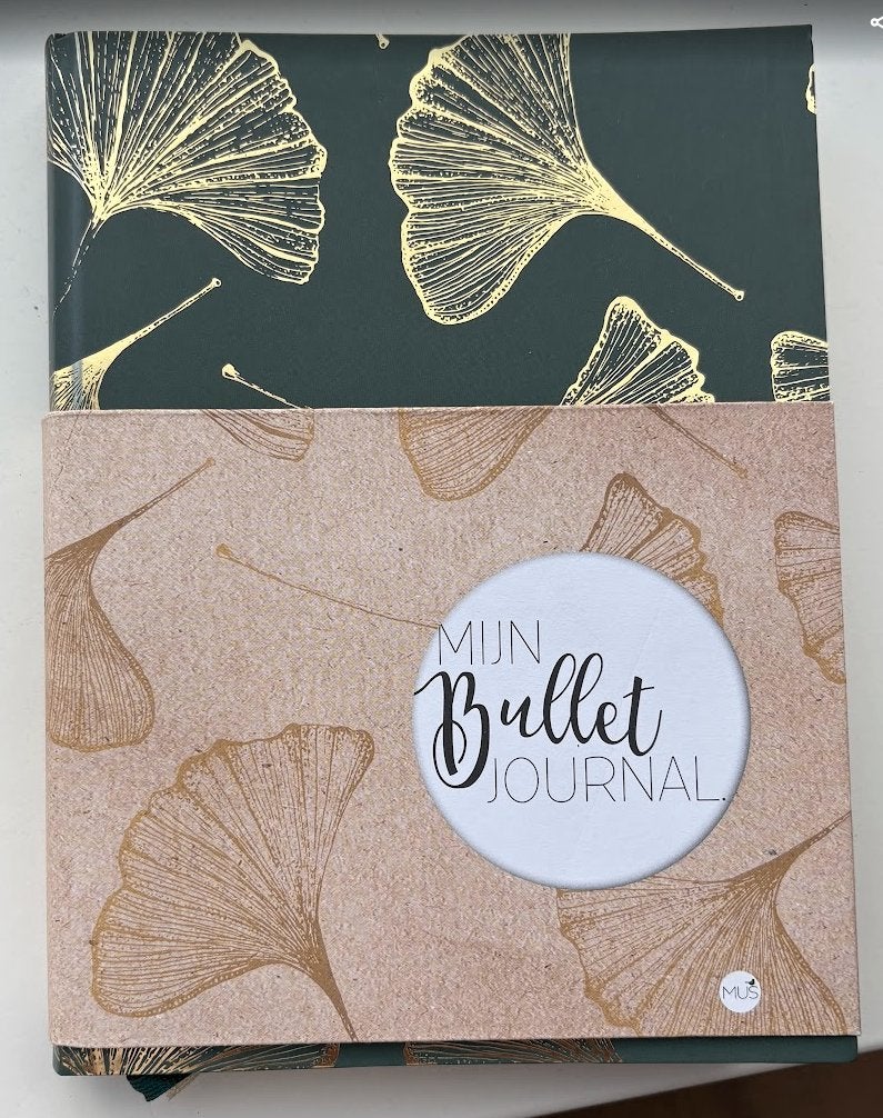 Mijn bullet journal, Ophalen of Verzenden, Nieuw