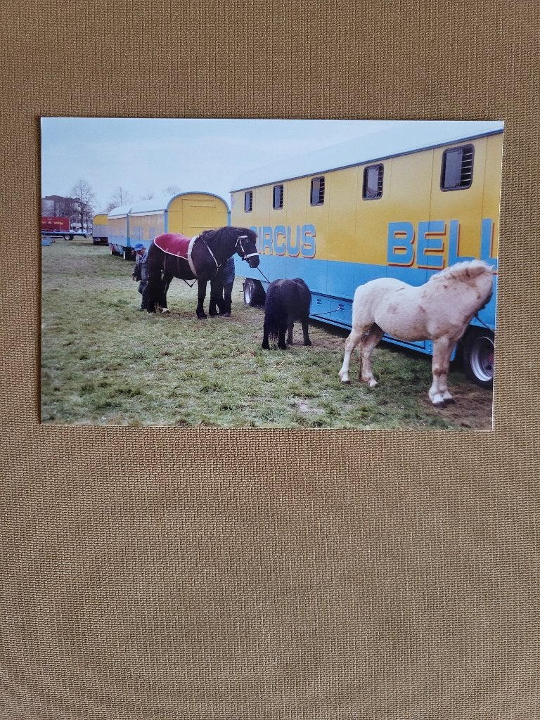 Circus Belly-Wien/ aankomst en opbouw in Wijchen in 2007, Verzamelen, Overige Verzamelen, Ophalen of Verzenden, Zo goed als nieuw
