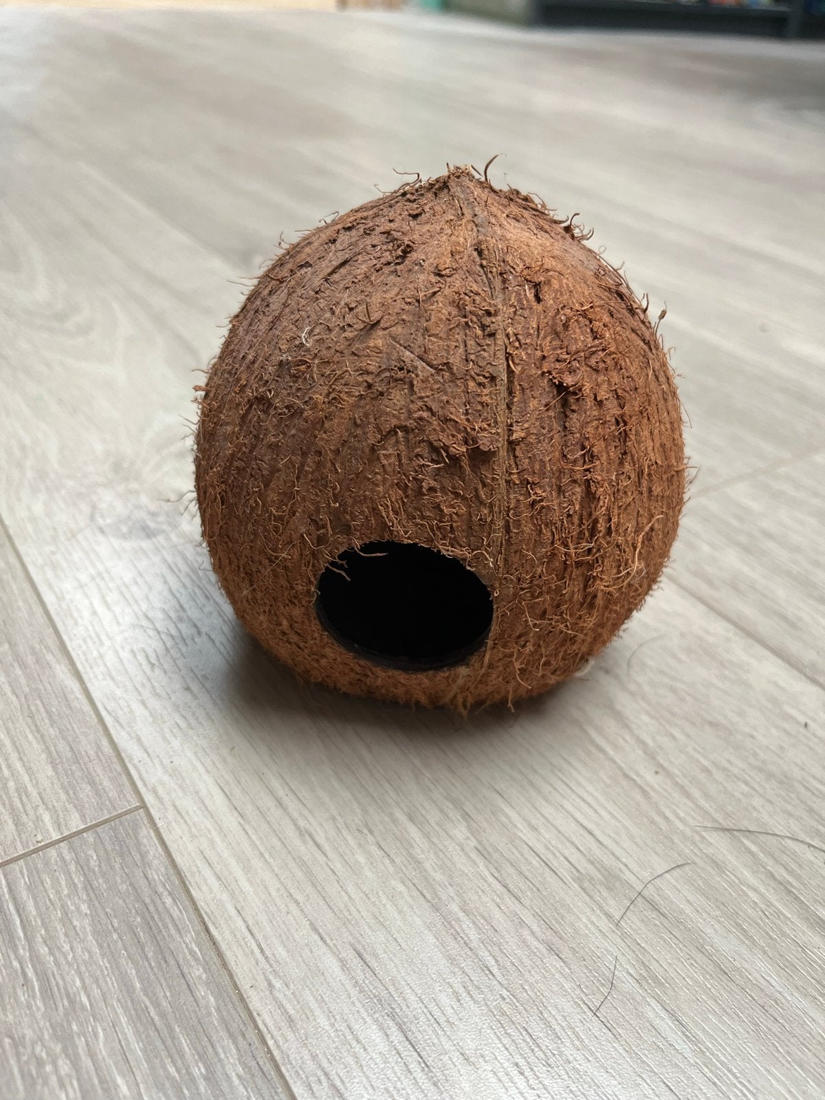 Hamster kokosnoot, Ophalen of Verzenden, Zo goed als nieuw