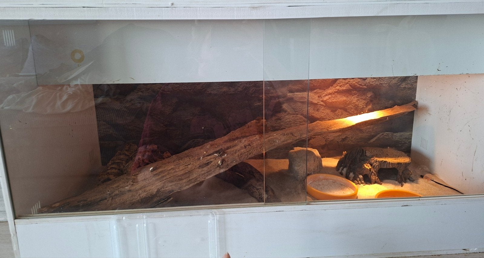 Terrarium 100x50x45 cm – complete set, Ophalen, Gebruikt, Terrarium of Paludarium