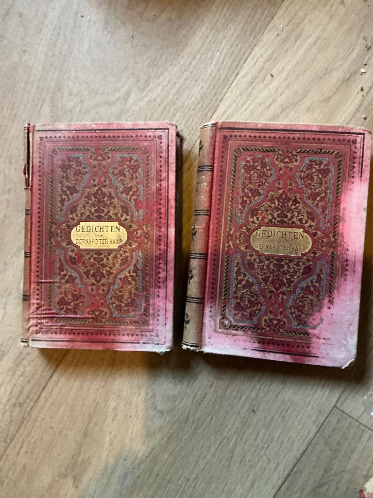 Gedichten van Bernard ter Haar., Ophalen of Verzenden, Gelezen