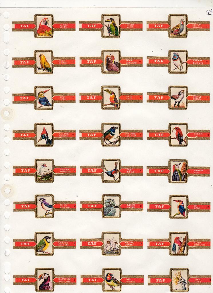 TAF  NF   Vogels, Verzamelen, Verzenden, Zo goed als nieuw, Sigarenbandjes
