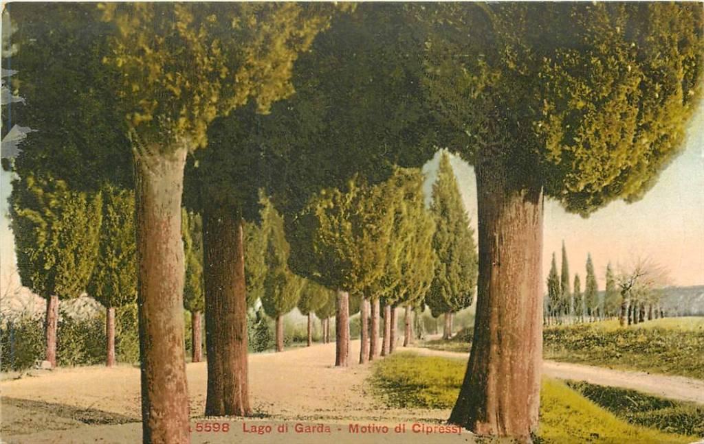 381-282-049 Lago di Garda, Verzenden, Voor 1920, Frankrijk