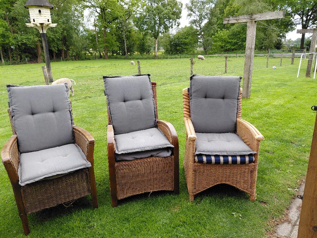 Rieten stoelen, Huis en Inrichting, Stoelen, Ophalen, Gebruikt, Bruin, Riet of Rotan
