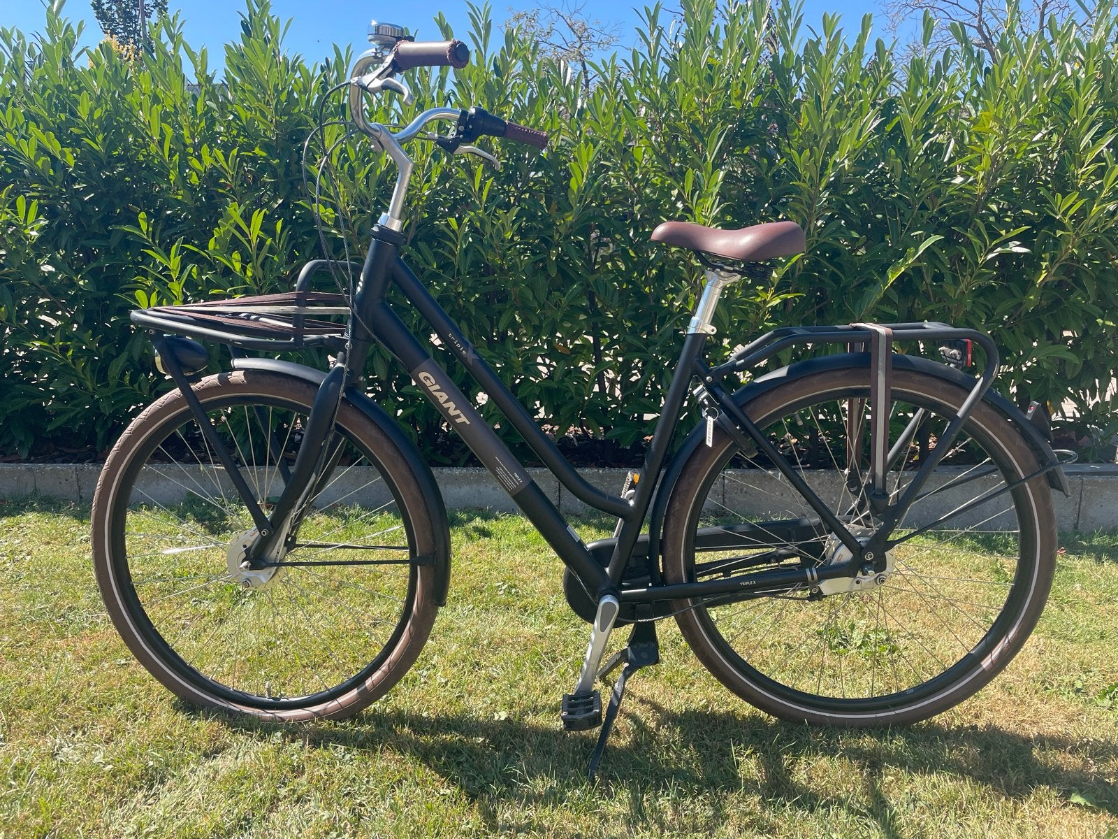 Giant Triple X Damesfiets, Fietsen en Brommers, Fietsen | Dames | Damesfietsen, Ophalen, Gebruikt, Versnellingen, Schijfrem