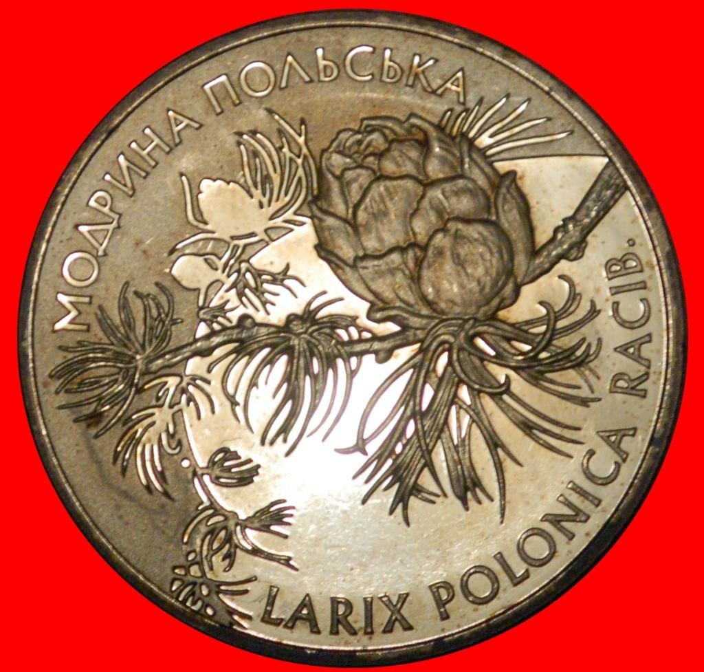 ⰊBIRDS AND LARCH: ukraine (USSR, russia) 2 GRIVNAS 2001 RARE, Ophalen of Verzenden, Centraal-Azië, Losse munt