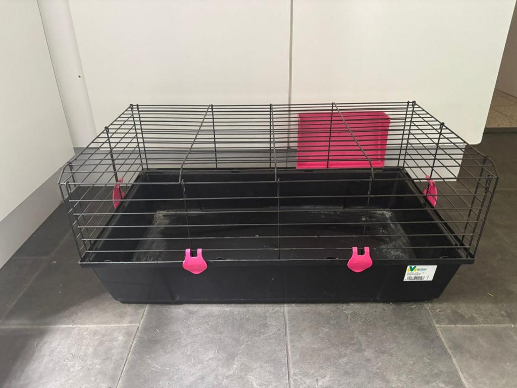 Caviakooi, Kooi, 75 tot 110 cm, Cavia, Ophalen