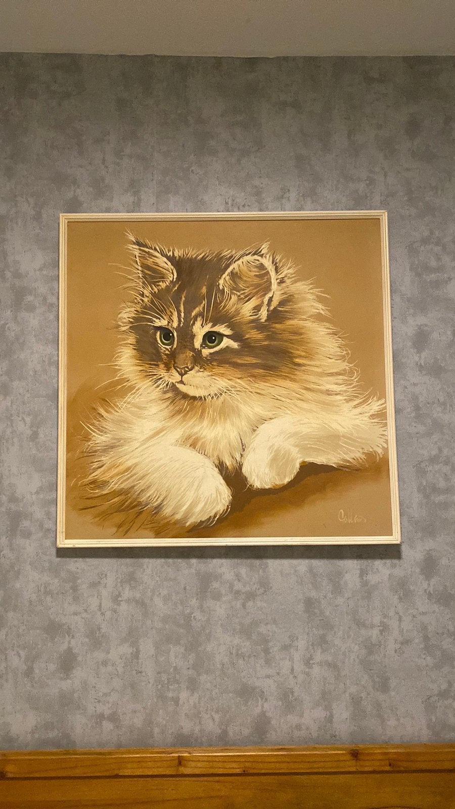 Schilderij van Collins kat / poes, Antiek en Kunst, Ophalen
