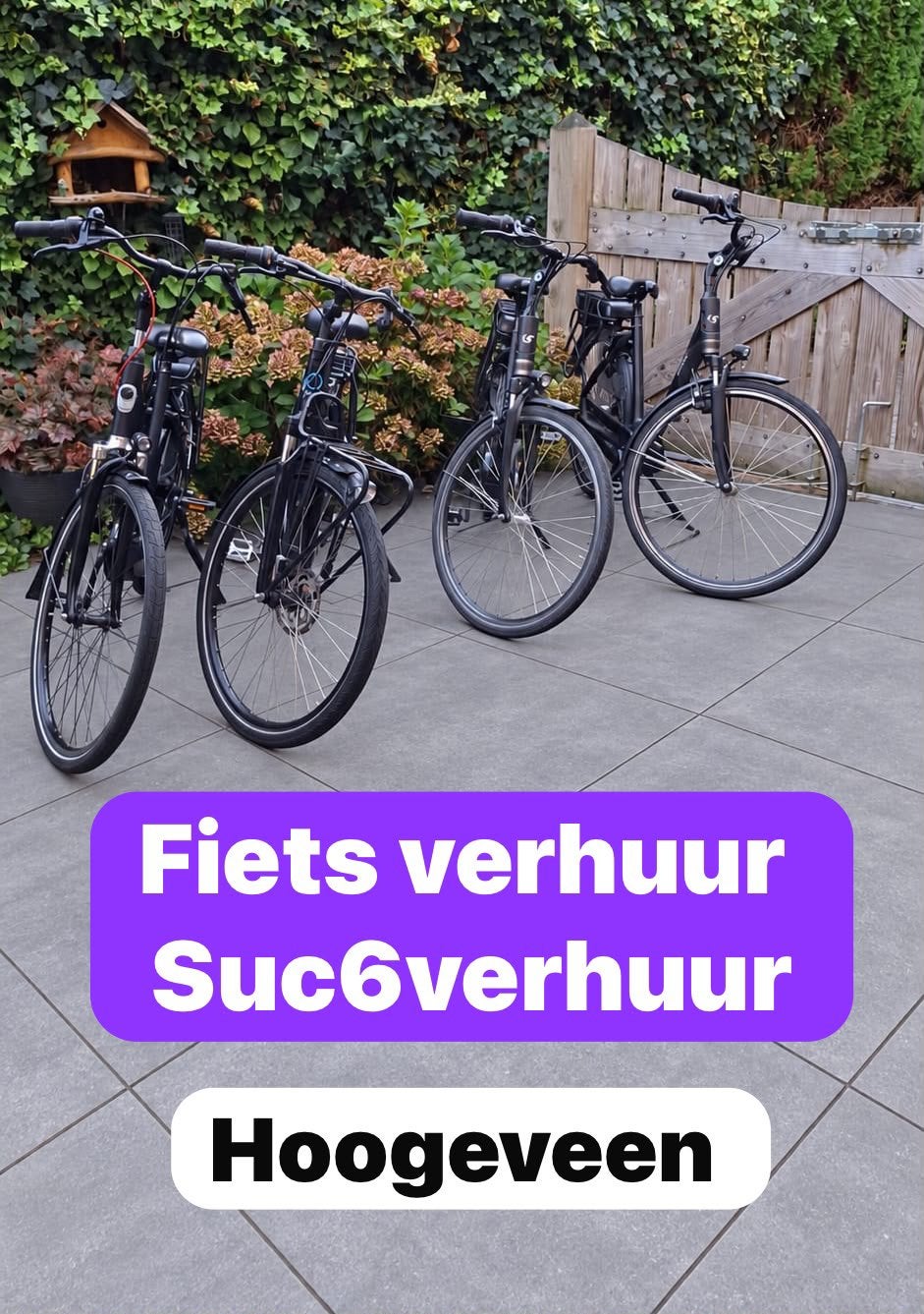 Elektrische fiets huren #suc6verhuur #Hoogeveen, Ophalen, Zo goed als nieuw, Overige merken