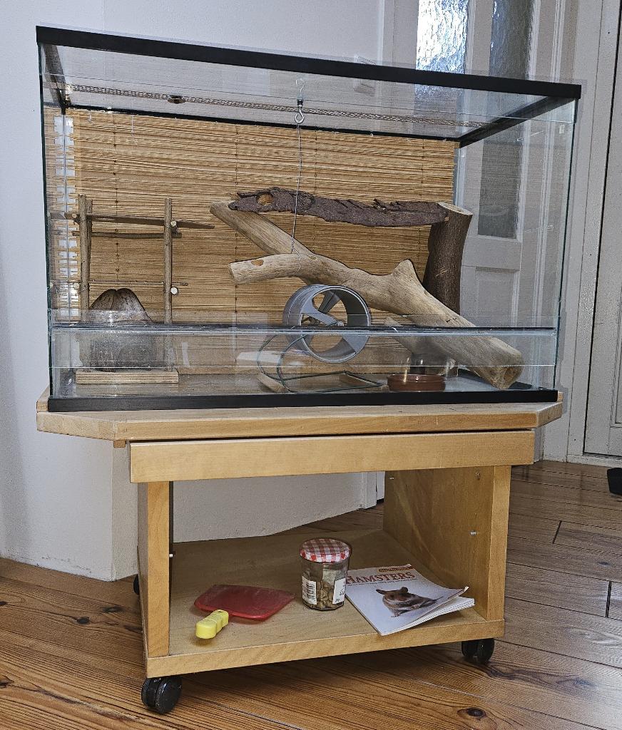 Hamsterhok (Terrarium ) 50 x 80 x 40 cm, Dieren en Toebehoren, Knaagdieren en Konijnen | Hokken en Kooien, Gebruikt, Muis, Hok