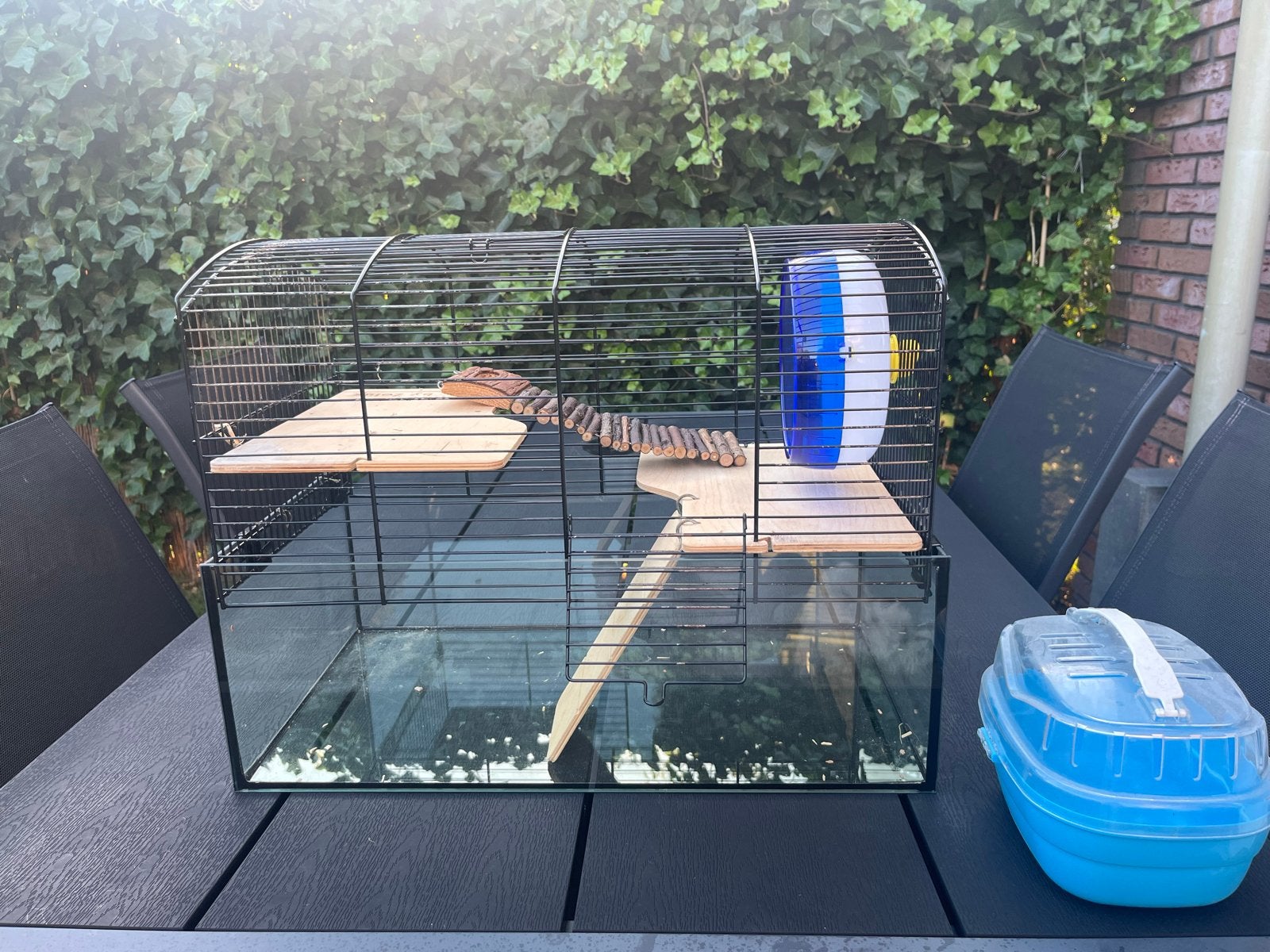 Hamsterkooi met inrichting, Dieren en Toebehoren, Minder dan 60 cm, Kooi, Gebruikt, Minder dan 75 cm