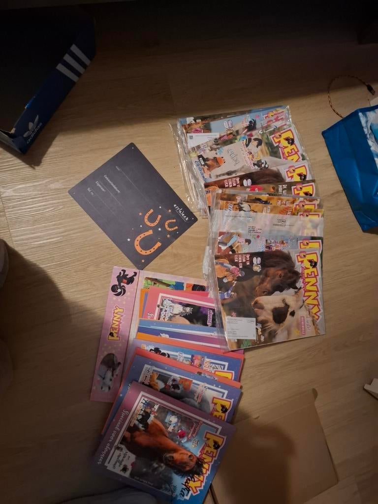 Lading pennys, Ophalen of Verzenden, Nieuw
