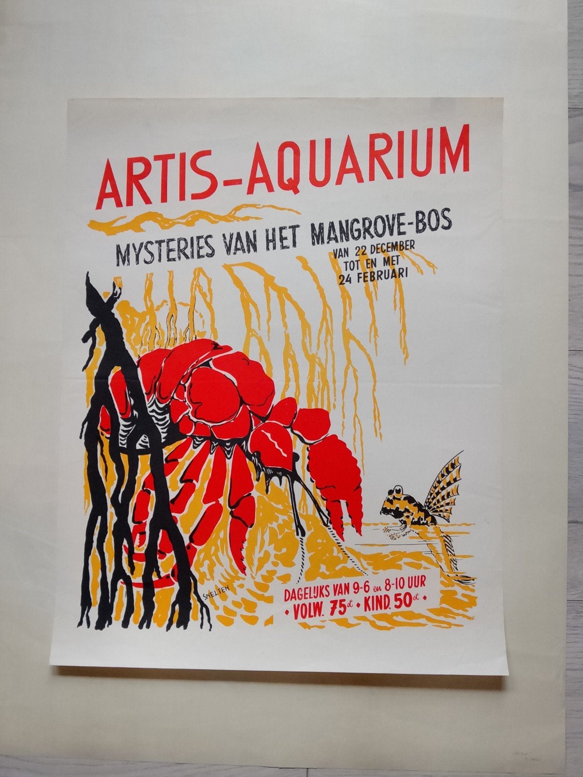 Vintage Artis-Aquarium poster - Mysterie Mangrove-Bos, Ophalen of Verzenden, A1 t/m A3, Reclame, Rechthoekig Staand