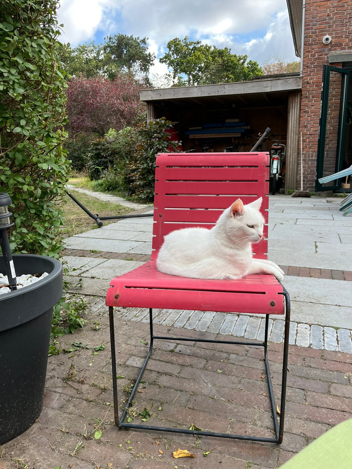 Vintage Fermob terrasstoelen - Frans design, Ophalen, Gebruikt, Twee, Overige kleuren