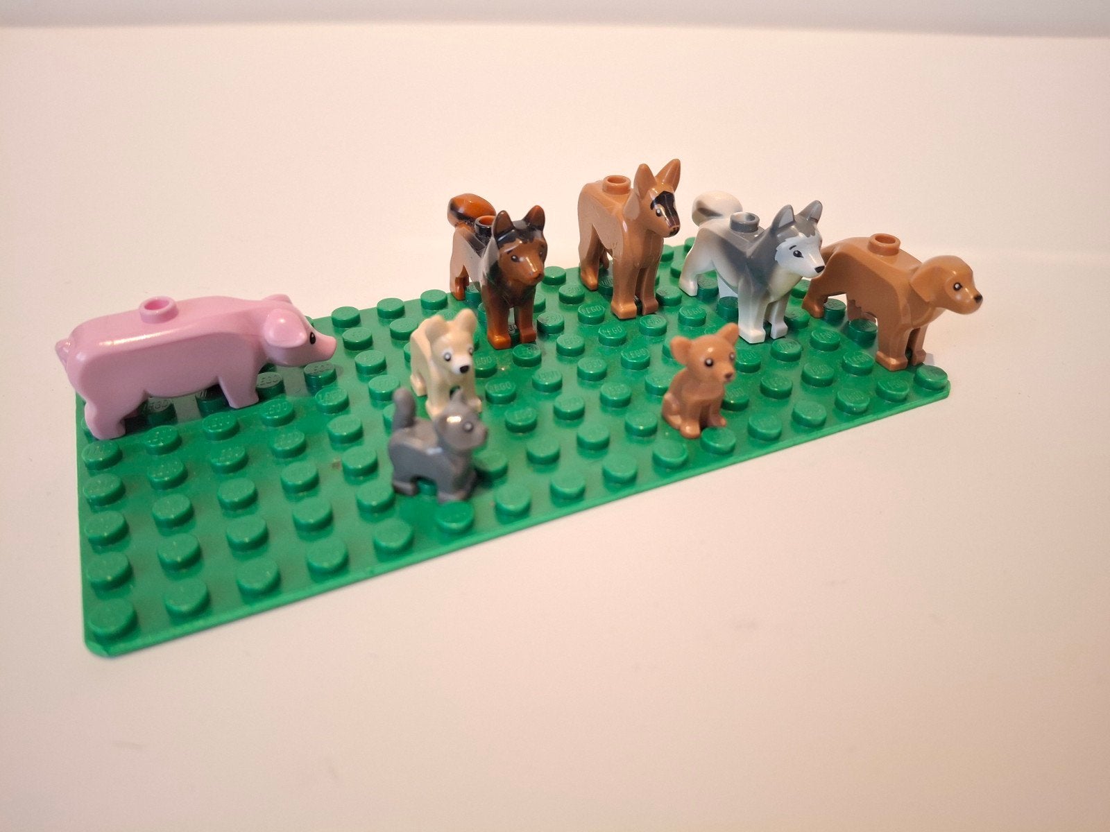 LEGO Dierenfiguren - Varkentje, honden en kat, Ophalen of Verzenden, Zo goed als nieuw, Overige merken
