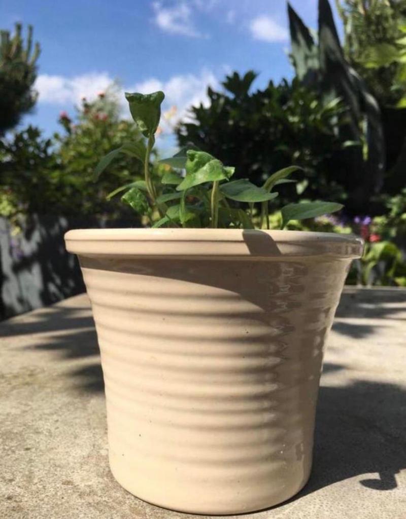 Mooie crèmekleurige bloempot exclusief de kamerplanten, Tuin en Terras, Bloempotten, Rond, Binnen, Ophalen of Verzenden, Zo goed als nieuw