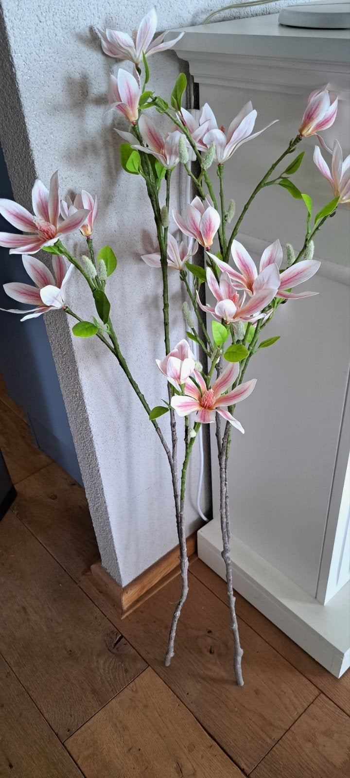 Magnolia takken, Ophalen, Nieuw