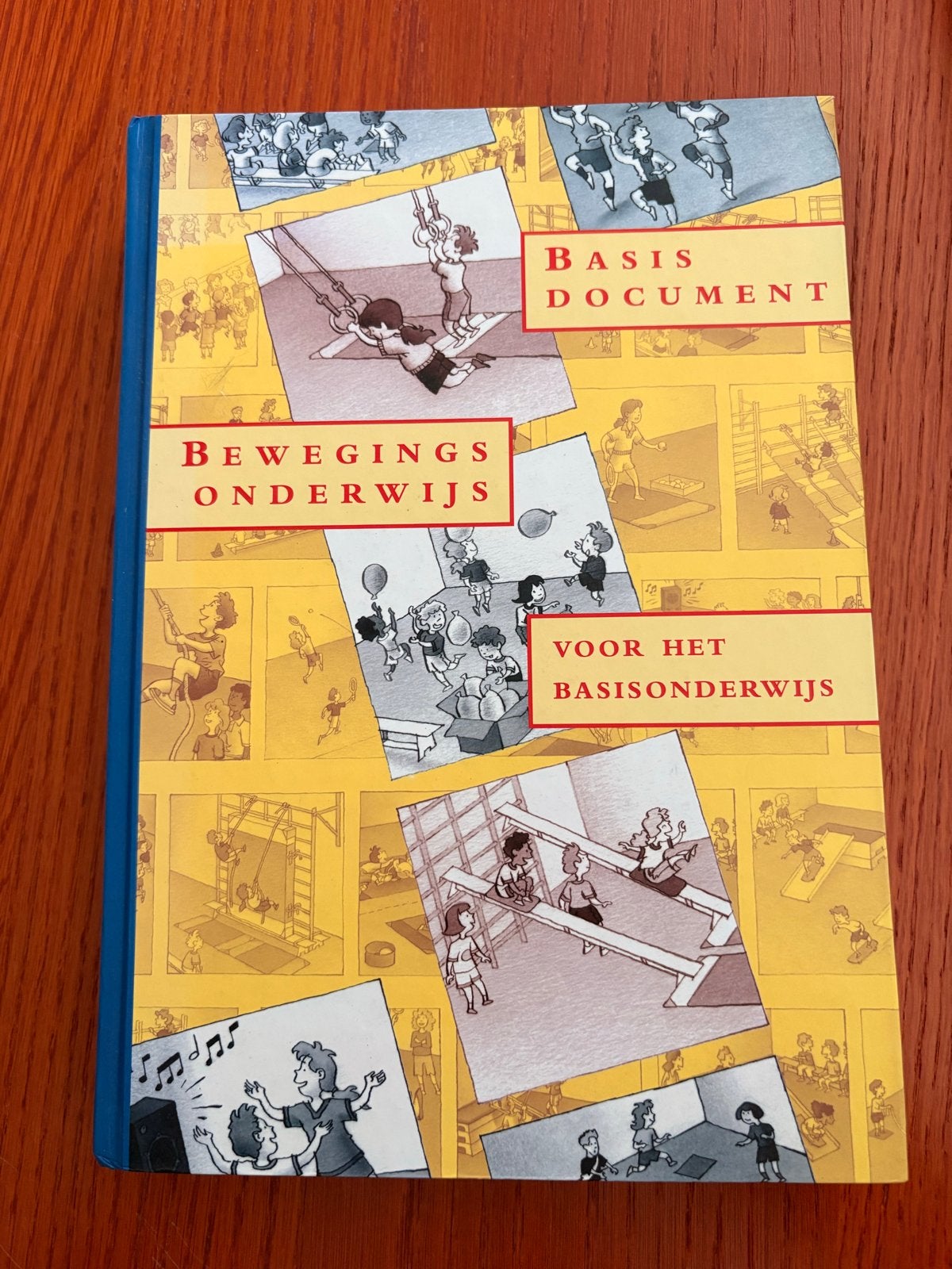 Basisdocument Bewegingsonderwijs voor het Basisonderwijs, Boeken, Ophalen of Verzenden, Gamma, Zo goed als nieuw, HBO