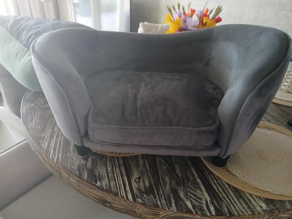 Honden of katten sofa mand, Ophalen
