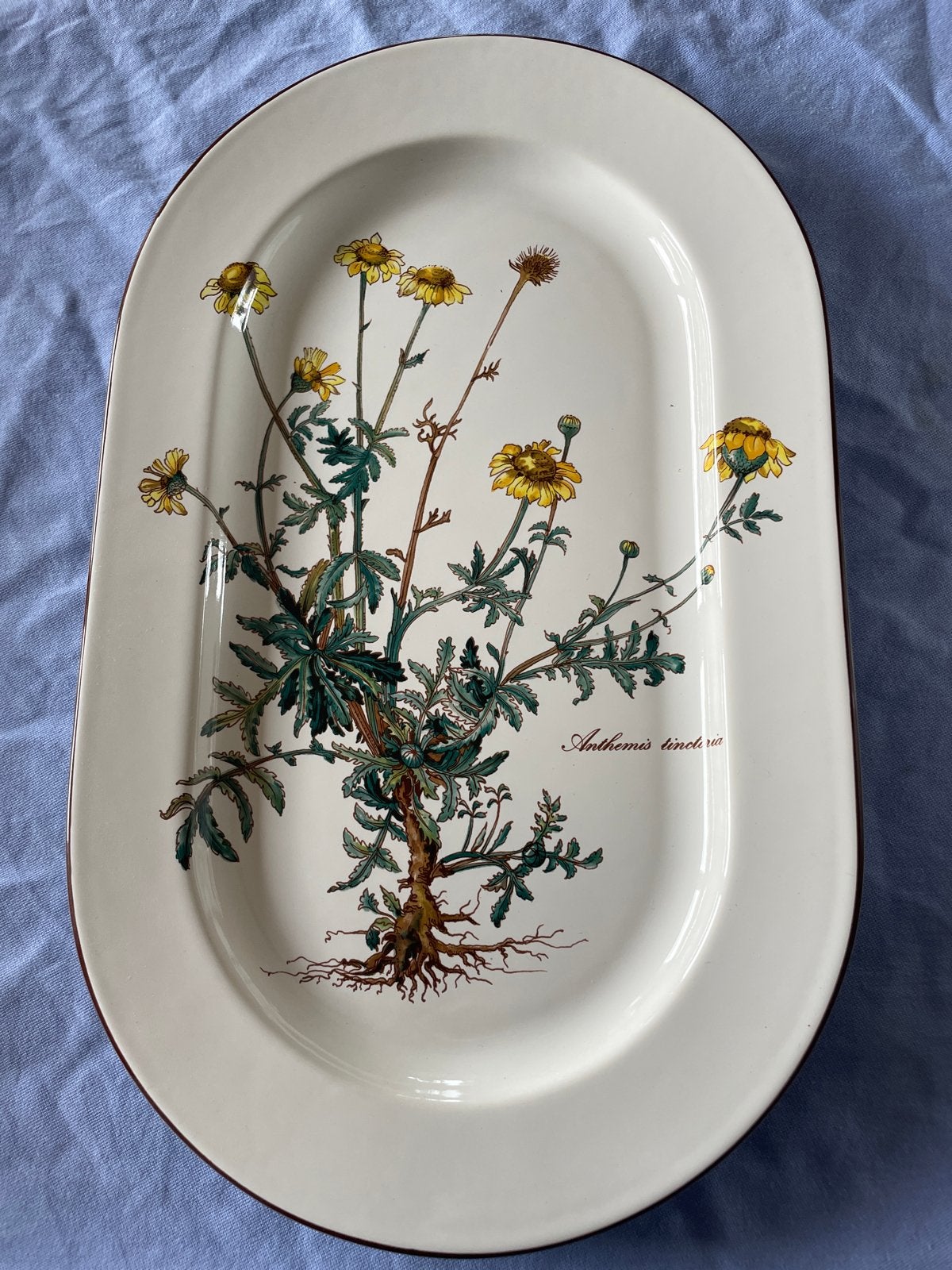 Villeroy & Boch Botanica Ovale Serveerschaal - 33,5x20,5cm, Huis en Inrichting, Keuken | Servies, Klassiek, Villeroy & Boch, Ophalen of Verzenden