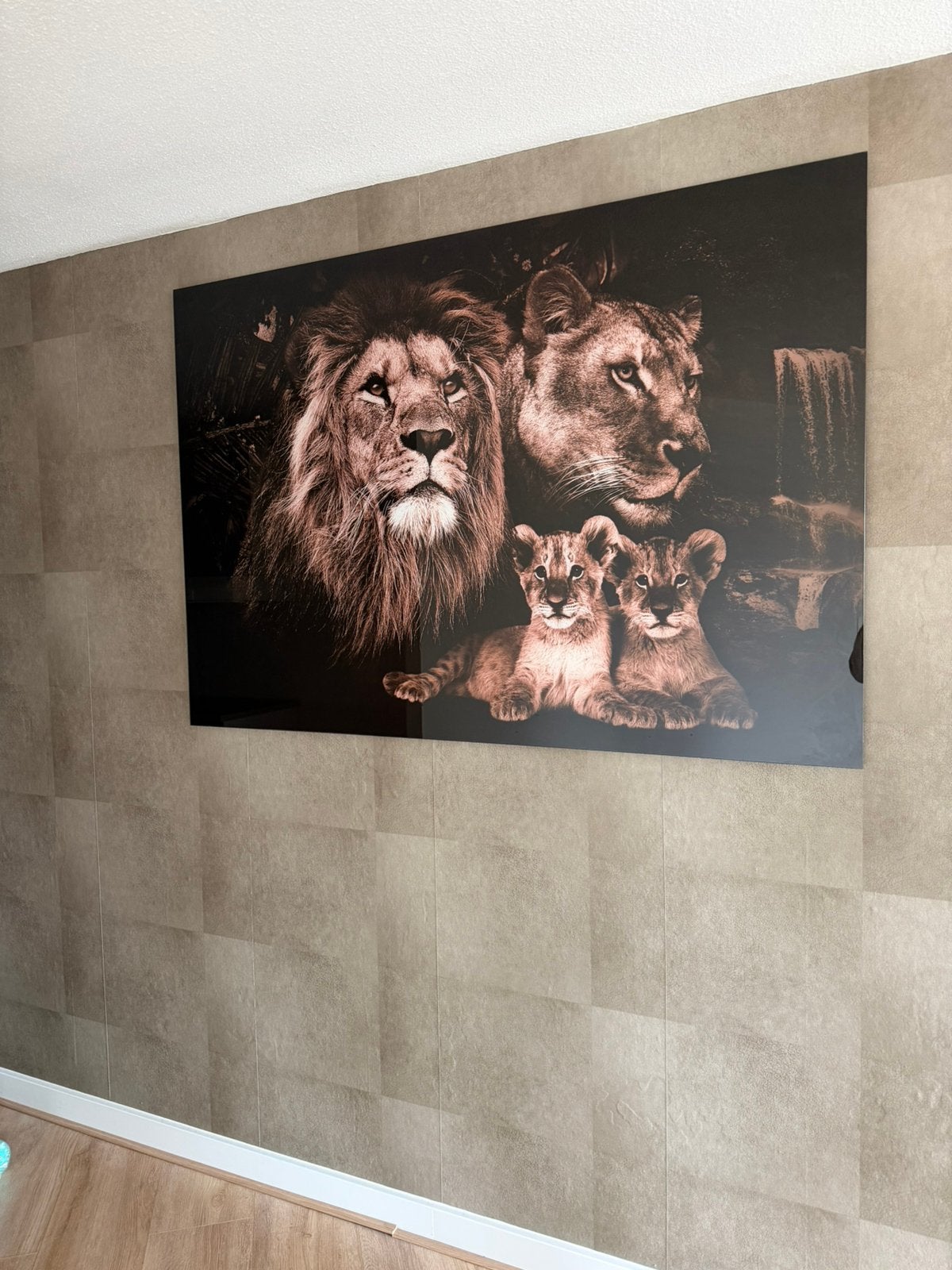 Glasschilderij, Ophalen, 125 cm of meer, Zo goed als nieuw, Schilderij