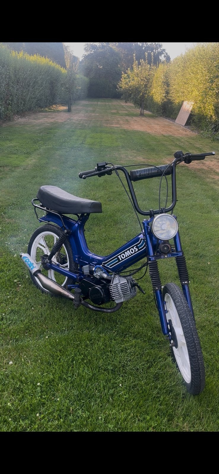 Tomos a52 65cc staat op kenteken, Fietsen en Brommers, Brommers | Tomos, Zo goed als nieuw, Standard, Ophalen