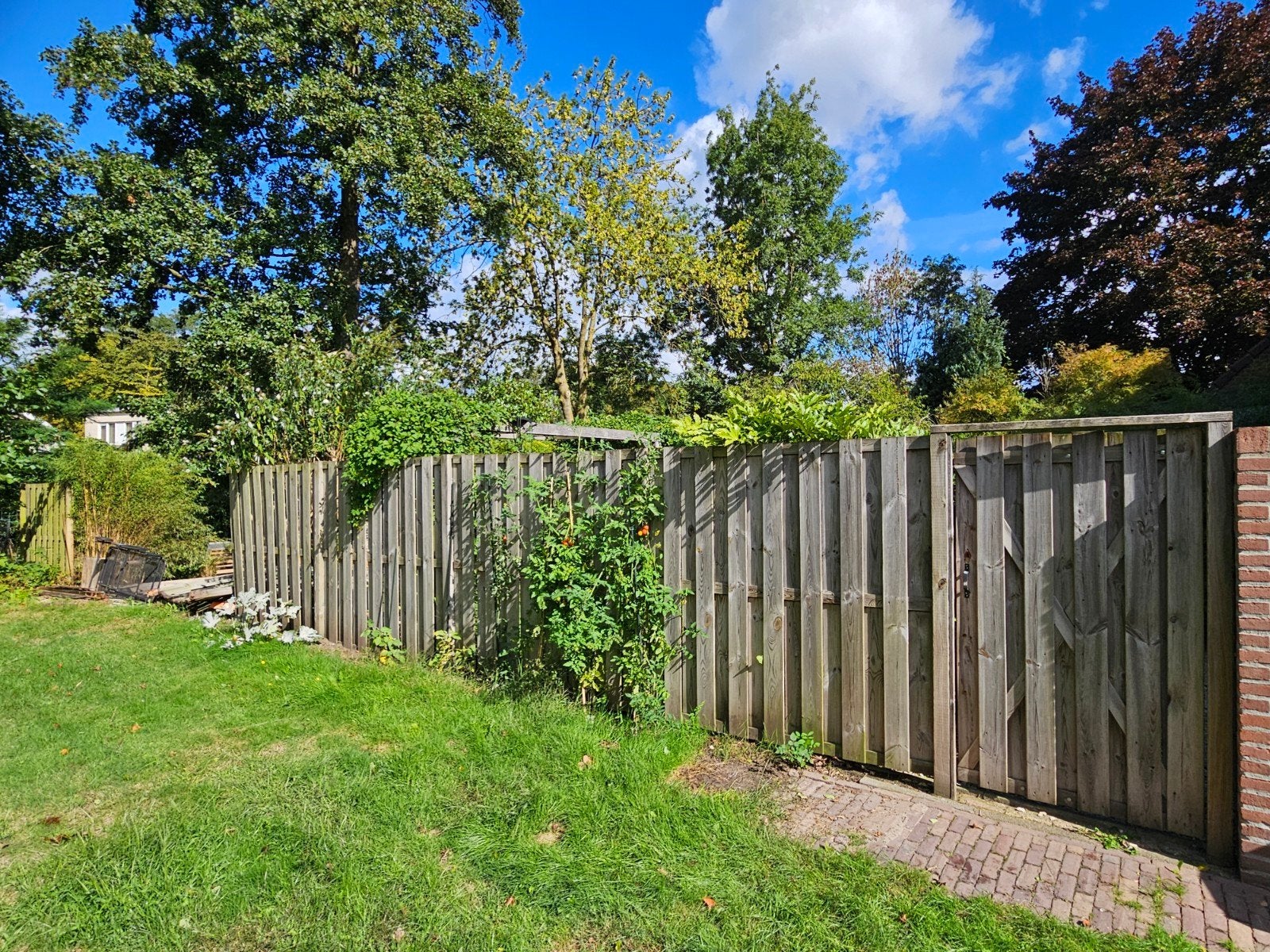 GRATIS schuttingpanelen + poort (ong.14 m), Tuin en Terras, Ophalen, Minder dan 3 meter, Hout, 1 tot 2 meter