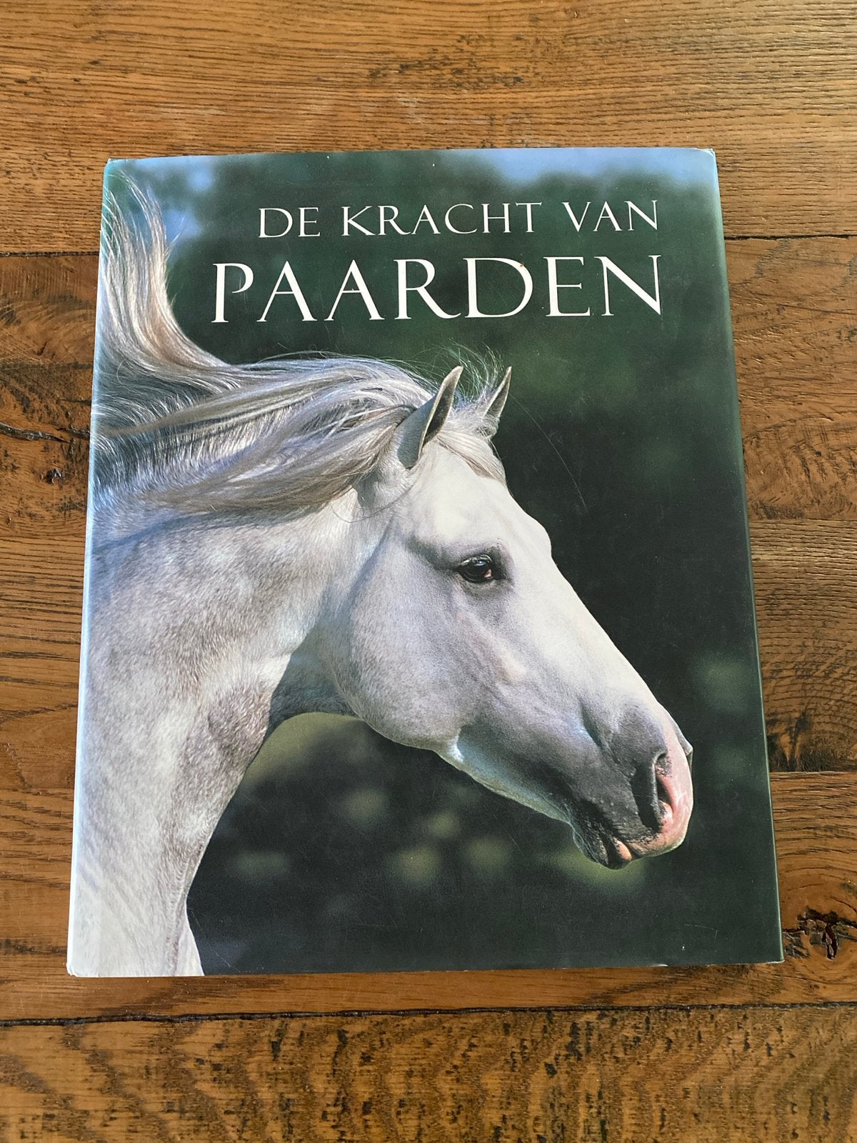 De Kracht van Paarden - Prachtig Geïllustreerd Boek, Ophalen of Verzenden, Zo goed als nieuw, Paarden of Pony's