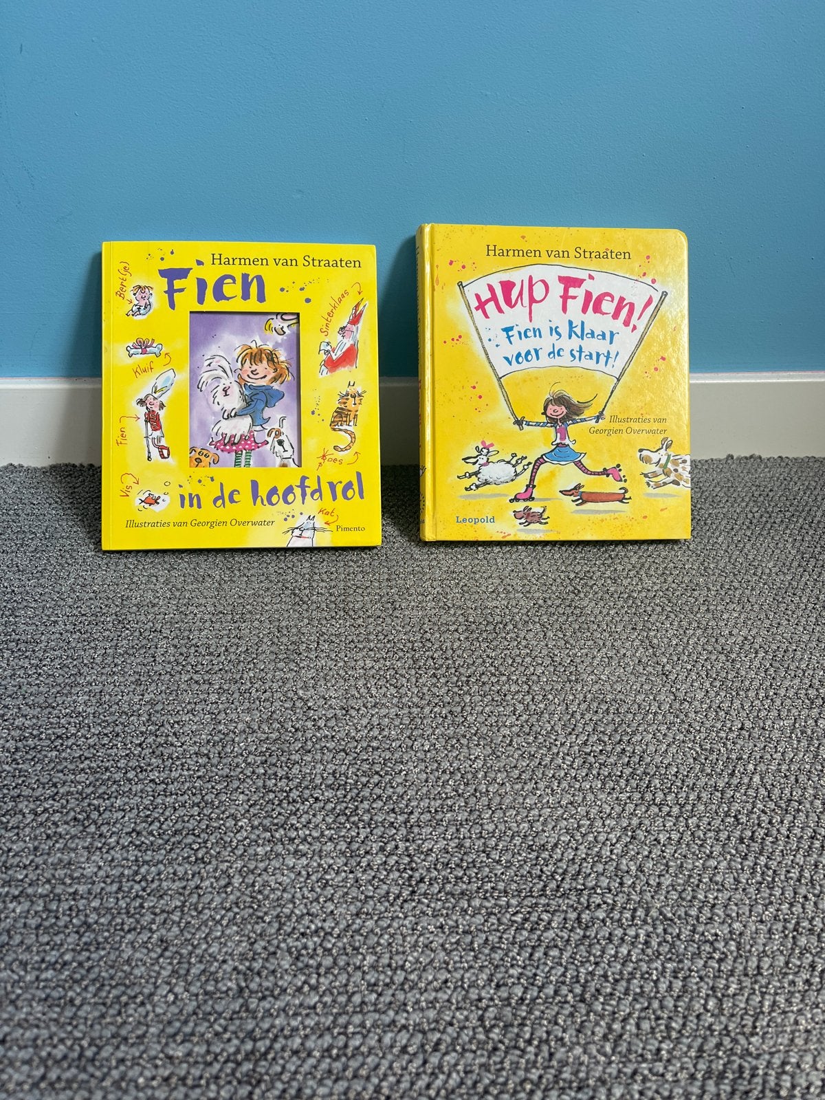 2x Fien boeken van Harmen van Straaten, Ophalen, Gelezen, Fictie algemeen