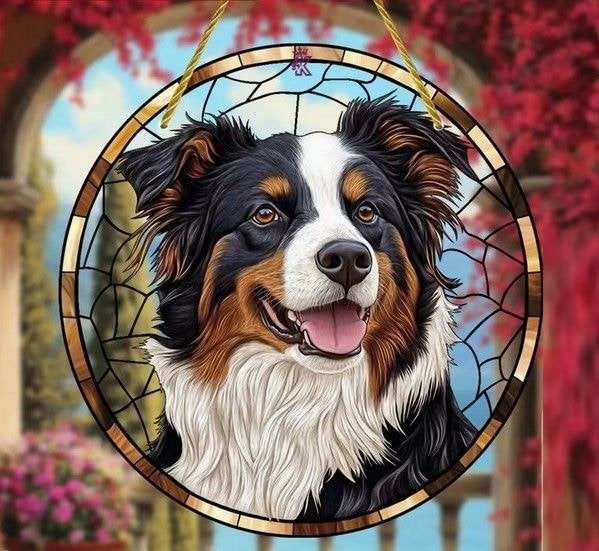 Raamhanger Border collie / Berner sennen, Verzenden, Nieuw