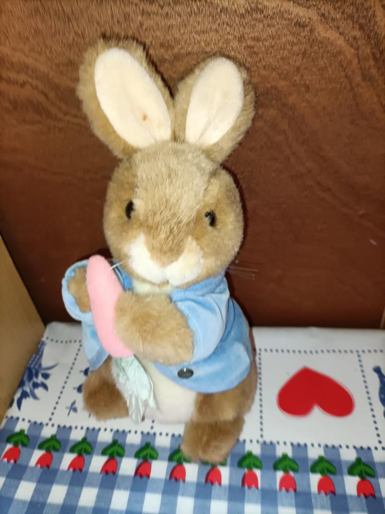 Frederick warne Konijn knuffel Eden 26 cm groot, Kinderen en Baby's, Speelgoed | Knuffels en Pluche, Zo goed als nieuw, Konijn