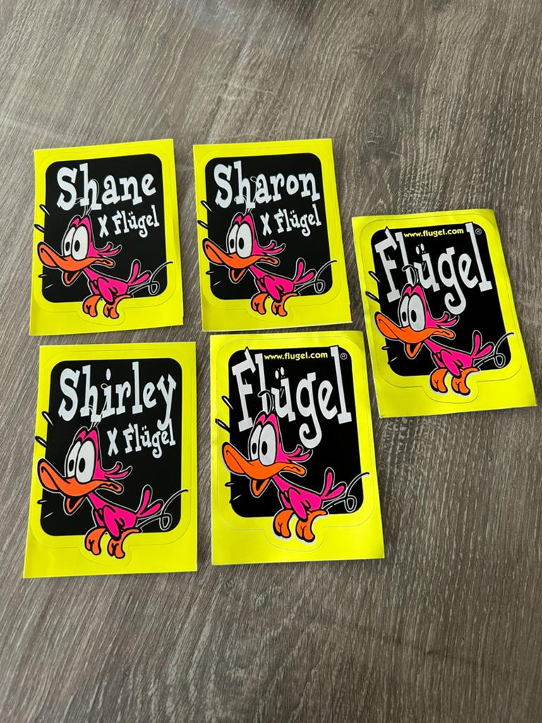5x flugel sticker, Ophalen of Verzenden, Zo goed als nieuw, Sticker