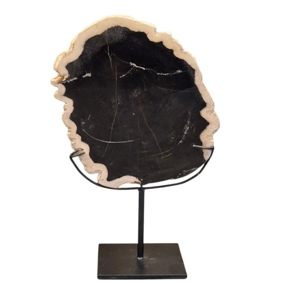 Versteend hout op standaard, Verzamelen, Mineralen en Fossielen, Ophalen of Verzenden