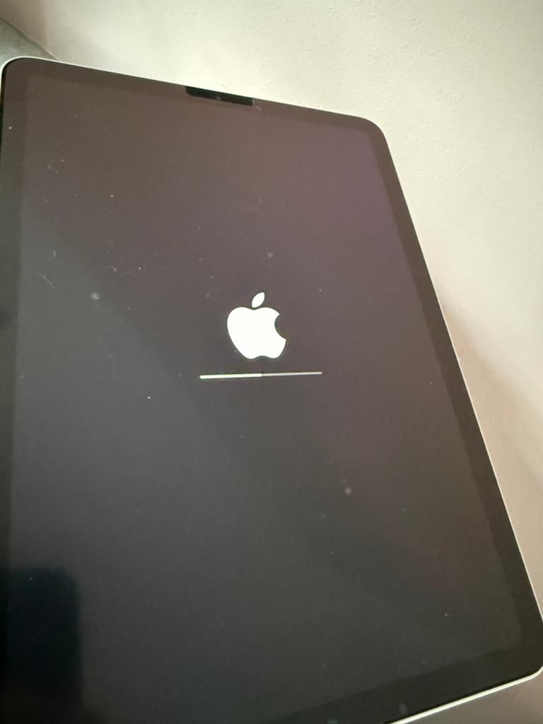 iPad Air 4 (extra veel geheugen 256GB) met smart hoesje, 10 inch, Apple iPad Air, Ophalen of Verzenden, Zo goed als nieuw