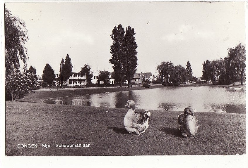 Dongen (N.Br.) Mgr. Schaepmanlaan 1975., Ophalen, 1960 tot 1980, Gelopen, Noord-Brabant