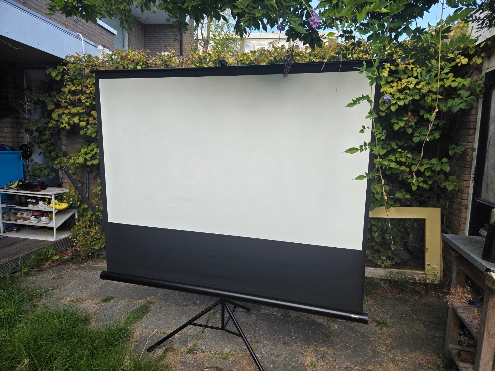 Mobiel projectiescherm Celexon 80 inch, Ophalen, Handmatig, Zo goed als nieuw
