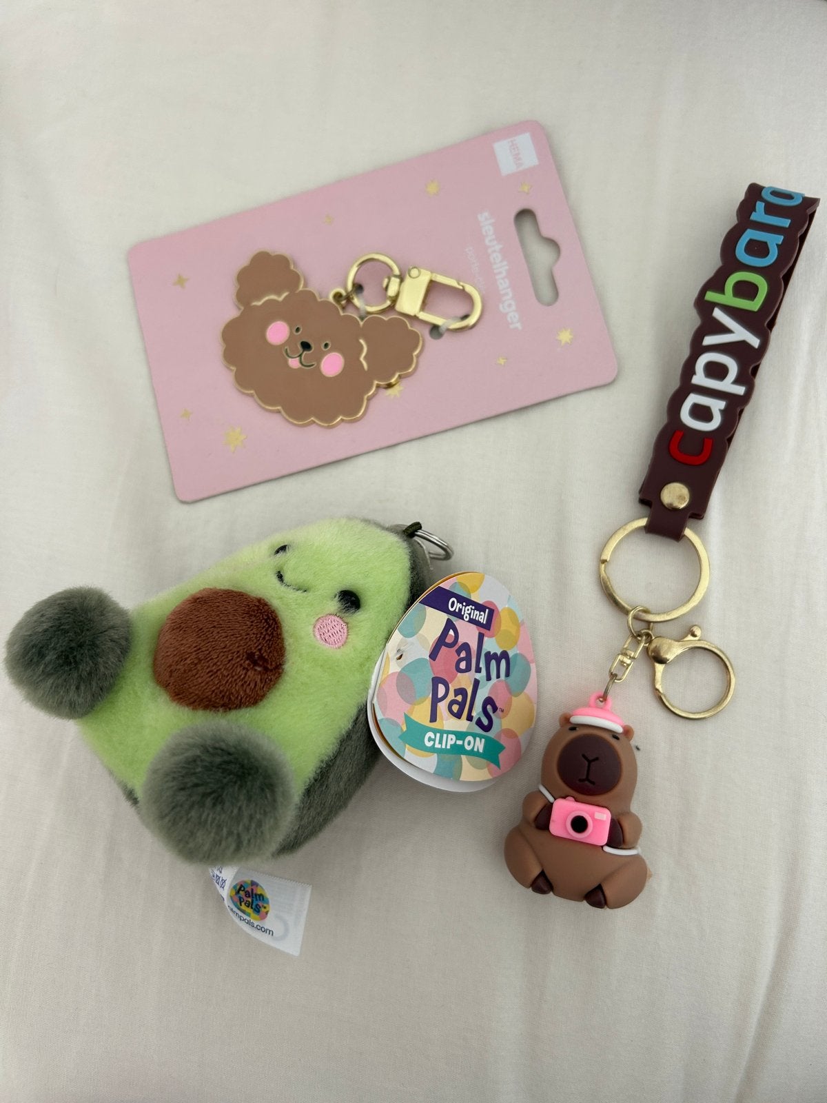 Leuke sleutelhangers: avocado, capybara en hondje, Ophalen, Nieuw, Dier of Natuur
