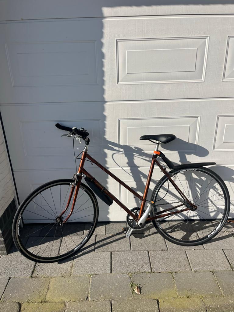 Raleigh stadsfiets - Shimano Alivio - Giant wielen, Gebruikt, Velgrem, 53 tot 57 cm, Ophalen