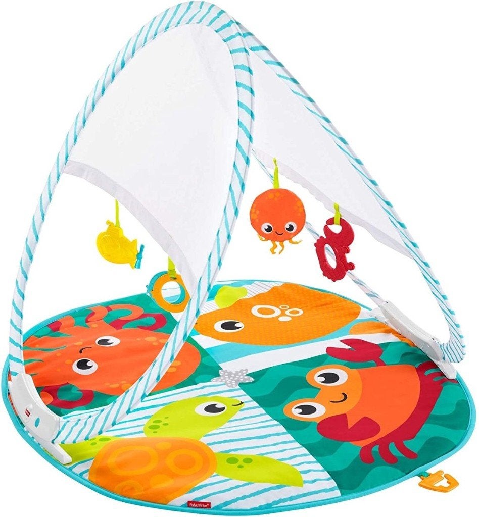 Fisher Price Draagbare Gym, Ophalen, Gebruikt, Speelset